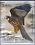 Eleonora's Falcon Falco eleonorae  2019 Europa Booklet, 2x2v