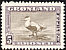 Common Eider Somateria mollissima  1945 Definitives 