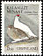 Rock Ptarmigan Lagopus muta  1987 Birds 