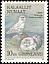 Snowy Owl Bubo scandiacus  1987 Birds 