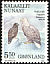 White-tailed Eagle Haliaeetus albicilla  1988 Birds 