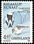 Snow Bunting Plectrophenax nivalis  1989 Birds 