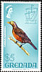 Spectacled Thrush Turdus nudigenis  1969 Definitives 