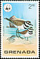 Killdeer Charadrius vociferus  1978 WWF 