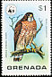 Broad-winged Hawk Buteo platypterus  1978 WWF 