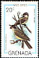 Tropical Kingbird Tyrannus melancholicus  1980 Wild birds 