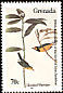 Hooded Warbler Setophaga citrina  1985 Audubon 