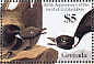 Brant Goose Branta bernicla  1986 Audubon  MS