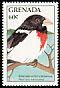 Rose-breasted Grosbeak Pheucticus ludovicianus  1988 Birds 