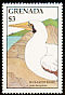 Masked Booby Sula dactylatra  1988 Birds 