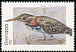 Green Heron Butorides virescens  1989 Birds p 14