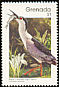 Black-crowned Night Heron Nycticorax nycticorax  1989 Birds p 14
