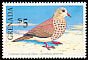 Common Ground Dove Columbina passerina  1990 Birds 