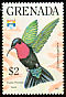 Purple-throated Carib Eulampis jugularis  1992 Genova 92 