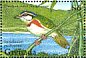 Chestnut-sided Shrike-Vireo Vireolanius melitophrys  1995 Birds  MS MS