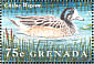 Chiloe Wigeon Mareca sibilatrix  1995 Water birds of the world Sheet