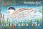 Silver Teal Spatula versicolor  1995 Water birds of the world Sheet