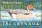 Northern Pintail Anas acuta  1995 Water birds of the world Sheet