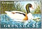 Common Shelduck Tadorna tadorna  1995 Water birds of the world  MS