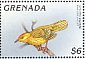 Mangrove Warbler Setophaga petechia  1996 West Indian birds  MS MS