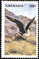 Parasitic Jaeger Stercorarius parasiticus  1998 Seabirds 