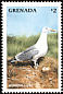 American Herring Gull Larus smithsonianus  1998 Seabirds 
