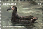 Black-footed Albatross Phoebastria nigripes  1998 Seabirds Sheet