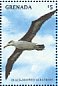 Black-browed Albatross Thalassarche melanophris