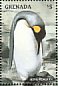 King Penguin Aptenodytes patagonicus  1998 Seabirds  MS MS