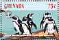 African Penguin Spheniscus demersus