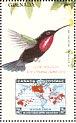 Purple-throated Carib Eulampis jugularis  1998 Christmas  MS MS