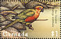 Sun Parakeet Aratinga solstitialis  2000 Birds Sheet
