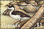 Black-necked Stilt Himantopus mexicanus  2000 Birds Sheet