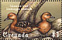 Fulvous Whistling Duck Dendrocygna bicolor  2000 Birds Sheet