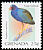 Purple Gallinule Porphyrio martinica  2000 Bird definitives 