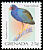 Purple Gallinule Porphyrio martinica