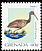 Limpkin Aramus guarauna  2000 Bird definitives 