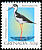 Black-necked Stilt Himantopus mexicanus