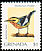 Blackburnian Warbler Setophaga fusca  2000 Bird definitives 