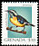 Bananaquit Coereba flaveola