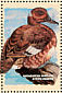 Madagascar Pochard Aythya innotata  2001 Hong Kong 2001, ducks Sheet