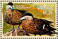 Silver Teal Spatula versicolor  2001 Hong Kong 2001, ducks Sheet