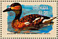 Wandering Whistling Duck Dendrocygna arcuata  2001 Hong Kong 2001, ducks Sheet