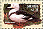 Radjah Shelduck Radjah radjah  2001 Hong Kong 2001, ducks Sheet