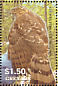 American Goshawk Accipiter atricapillus