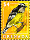 Bananaquit Coereba flaveola  2009 Birds of the Caribbean 