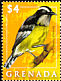 Bananaquit Coereba flaveola