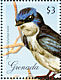 Tree Swallow Tachycineta bicolor