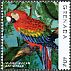 Scarlet Macaw Ara macao  2013 Parrots 