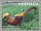 Golden Pheasant Chrysolophus pictus  2014 Animals of China 4v sheet
